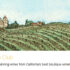 Limited Time! Get 2 Bonus Bottles of Wine